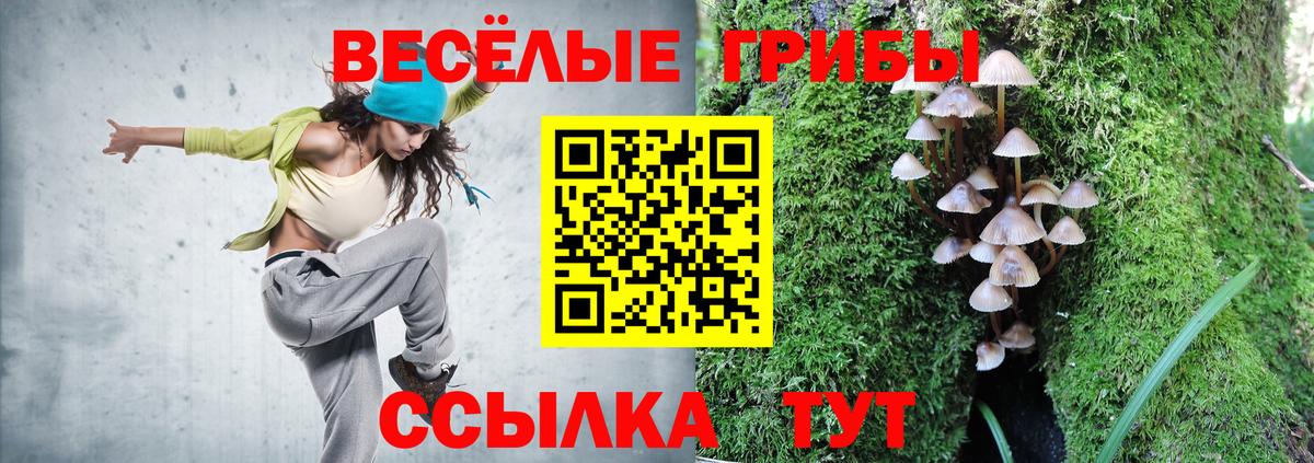 Коммунар  Галлюциногенные грибы мухоморы  Галлюциногенные грибы мицелий  Вход с VPN 